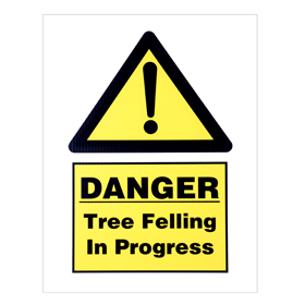 danger tree felling