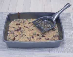 dirty litter box