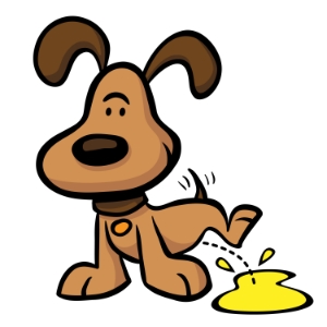 dog-pee-urine-sample